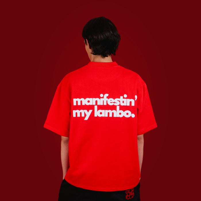 Manifestin My Lambo