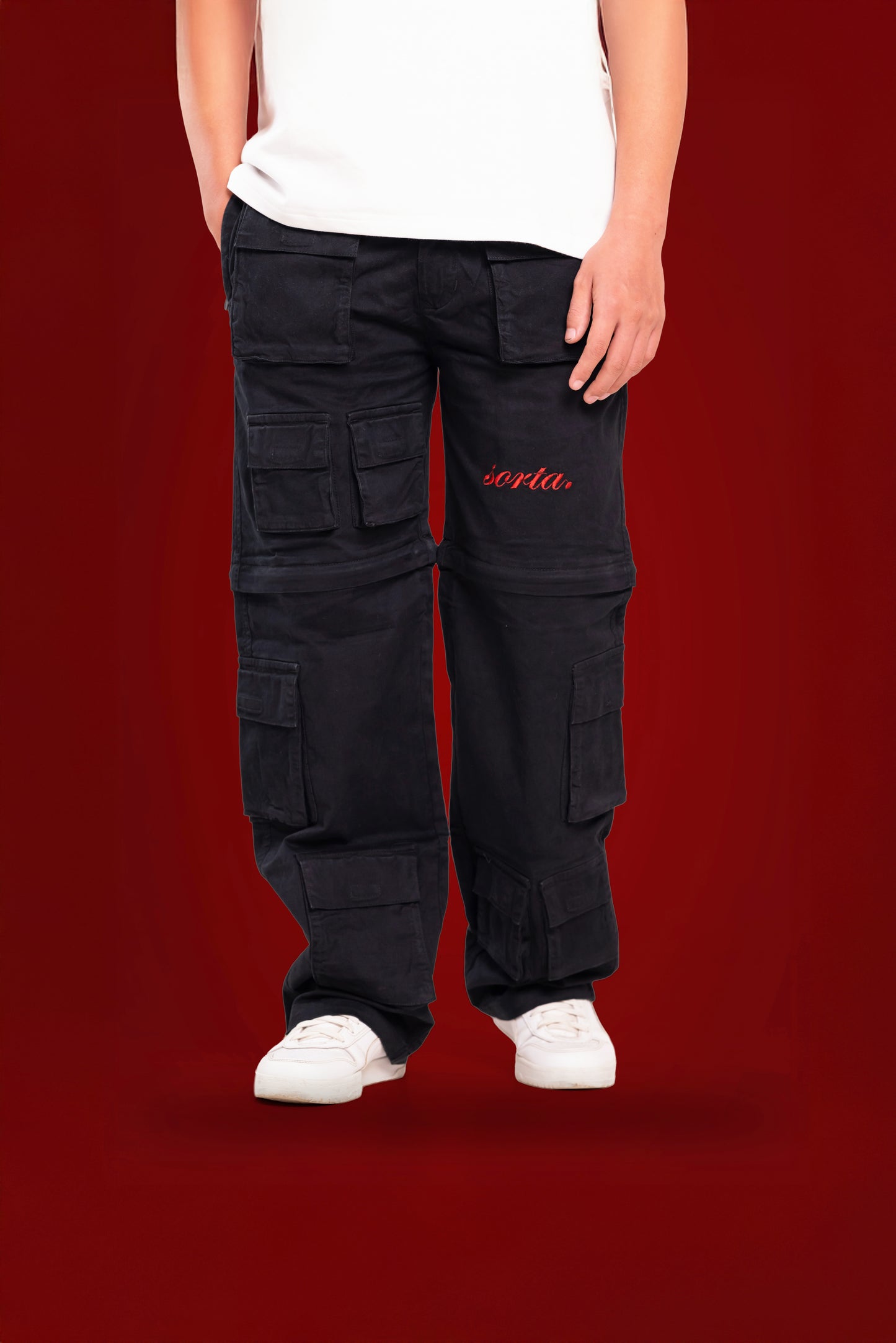 convertible cargo pants. (V2)