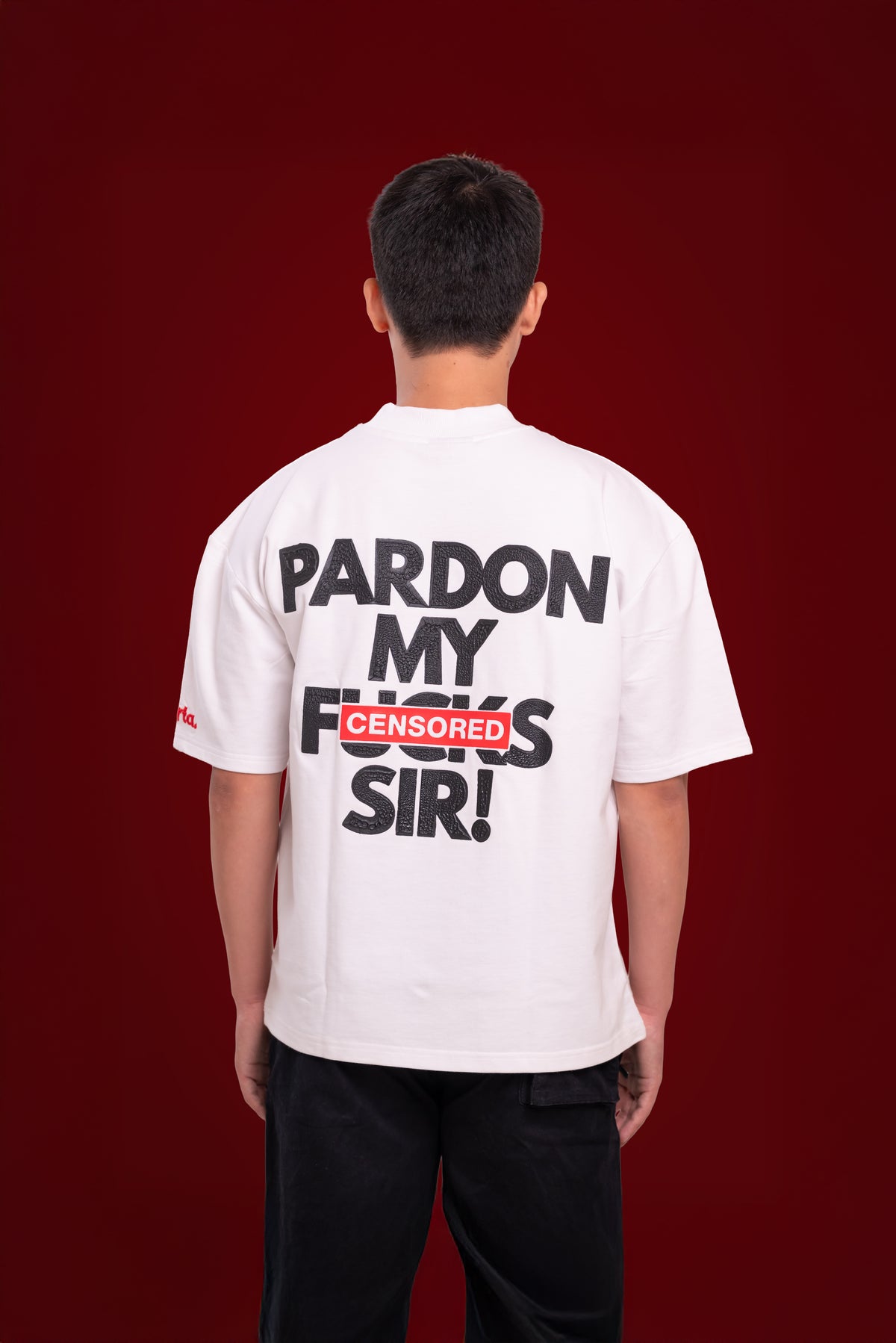 Pardon My F*#ks, Sir! - Korean Oversized T-Shirt