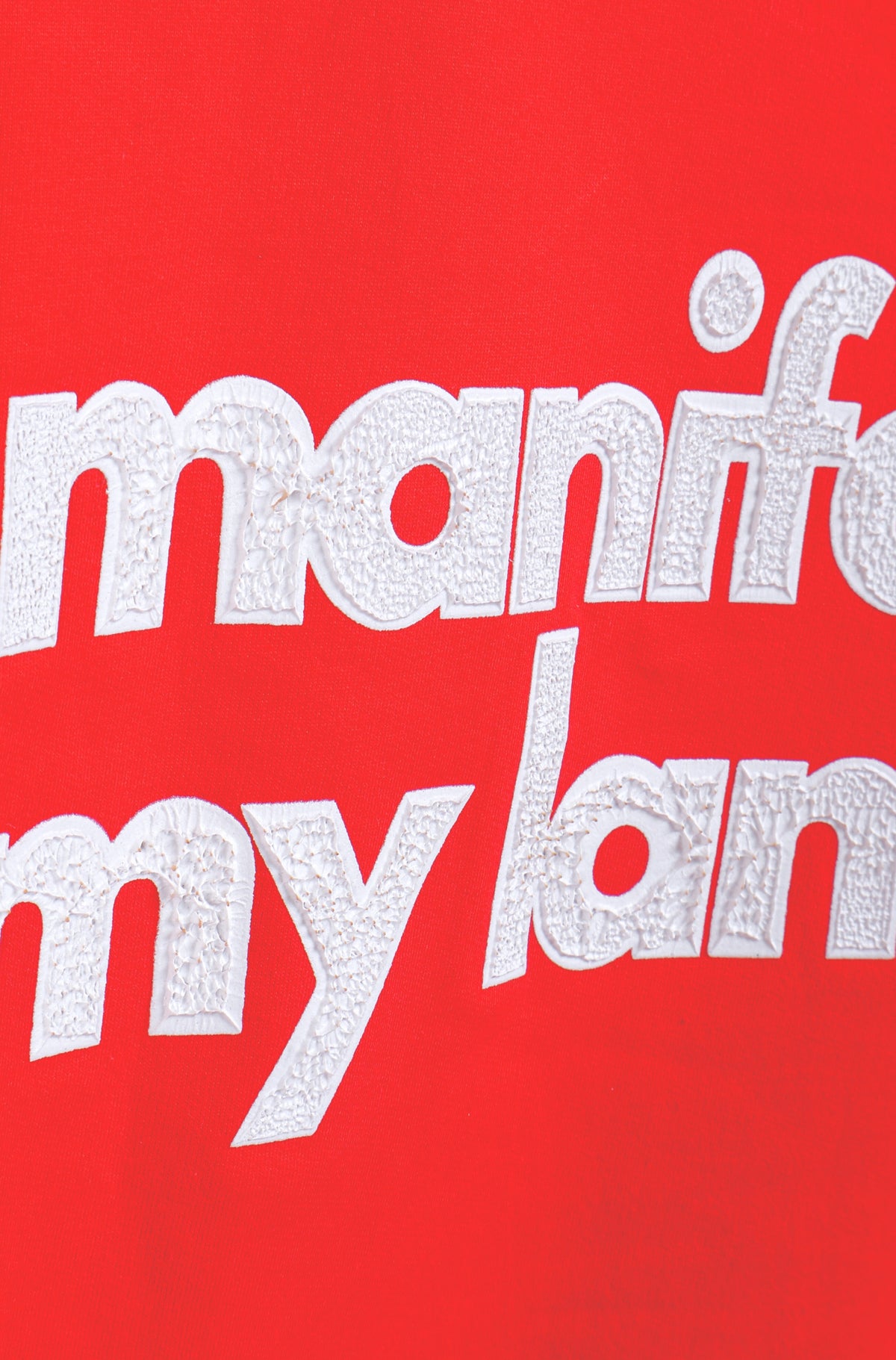Manifestin My Lambo