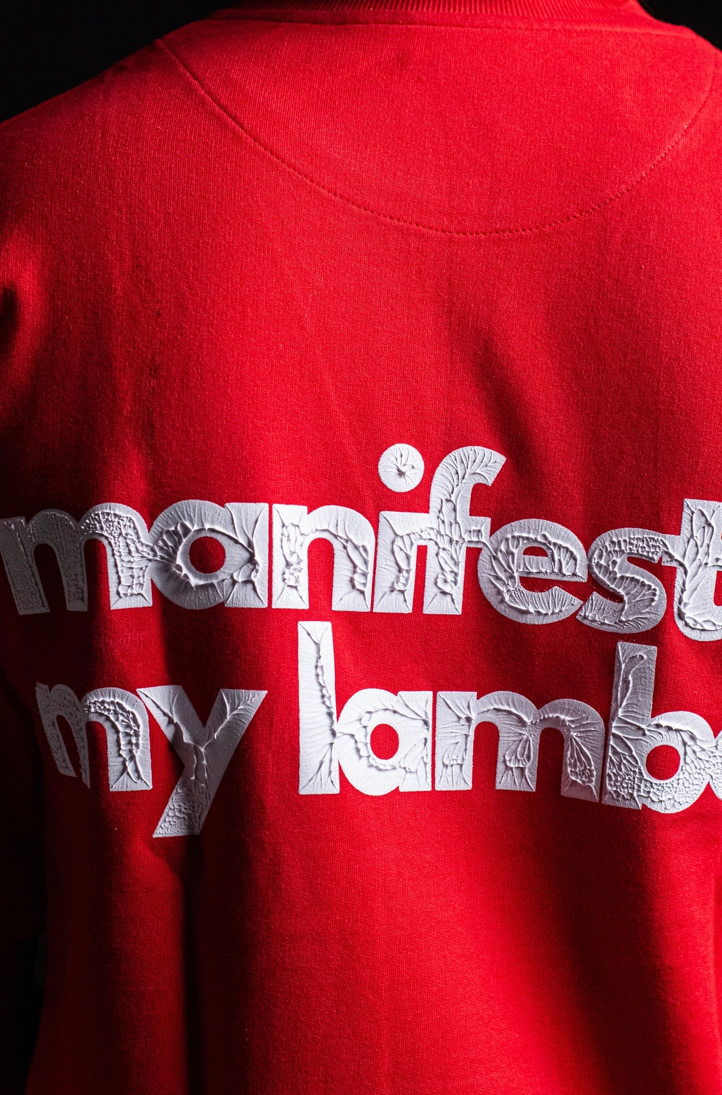 manifestin’ my lambo